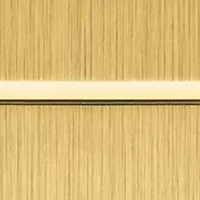 Gold Tone Unisex PRX 40205 35 Millimeter Watch in Stainless Steel 