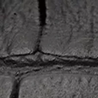 Men's Classic Automatic Watch