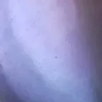 8.5-9 MM Black Cultured Freshwater Pearl and Cubic Zirconia Ring Sterling Silver