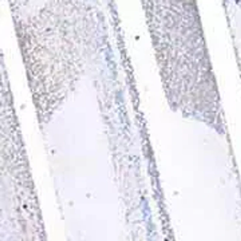 Lab Created Grown Diamond Emerald & Round Engagement Ring 14K Gold