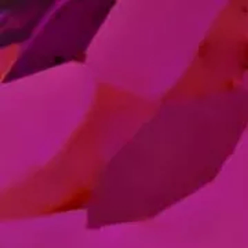 Multi-Shaped Split-Shank Ring