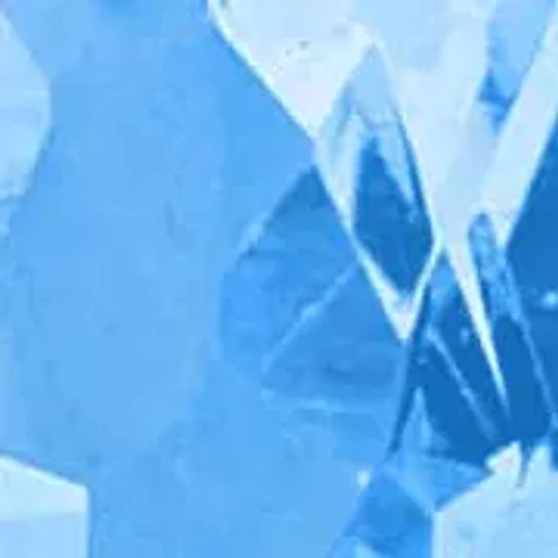 Multi-Shape Floral Earrings