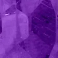 Multi-Shape Floral Earrings