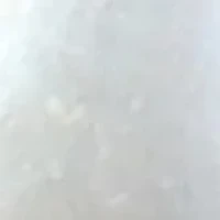 7-7.5mm Freshwater Cultured Pearl Stud Earrings