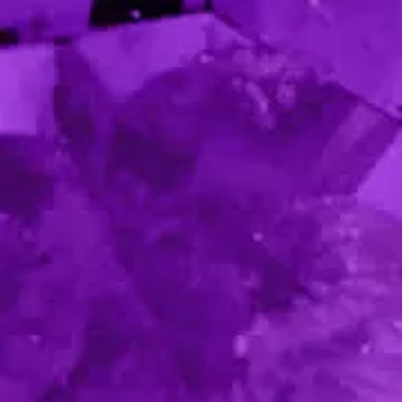 Gemstone Floral Earrings