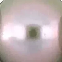 5-5.5 mm Freshwater Cultured Pearl Elastic Bracelet