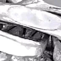 3.3mm Diamond Cut Rope Chain Necklace Sterling Silver