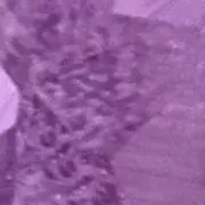 Gemstone Stud Earrings Sterling Silver