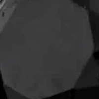 Black & White Diamond 3 Stone Ring 10k Gold