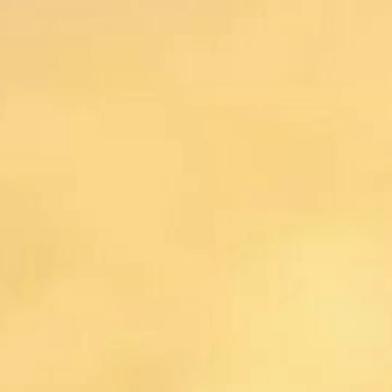 Ladies 3mm Wedding Band 14K Yellow Gold