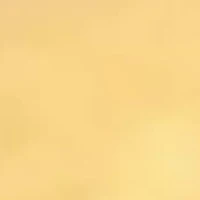 Ladies 3mm Wedding Band 14K Yellow Gold