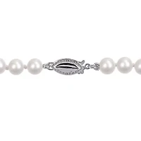 5-5.5mm Freshwater Cultured Pearl Necklace Sterling Silver