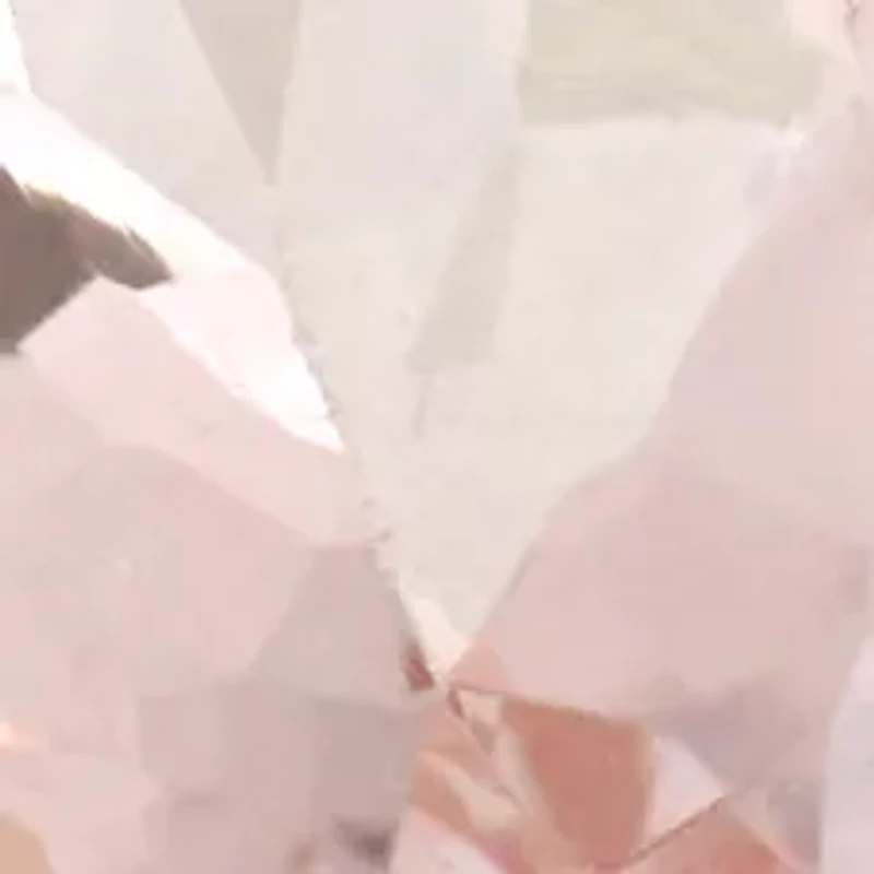 3/4 ct. t.w. Morganite and 1/5 Diamond Halo Split Shank Ring 10k Rose Gold