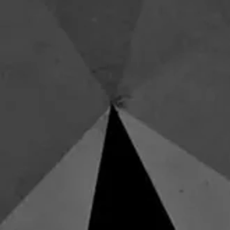 1 ct. t.w. Black and White Diamond Split Shank Ring 10K Rose Gold