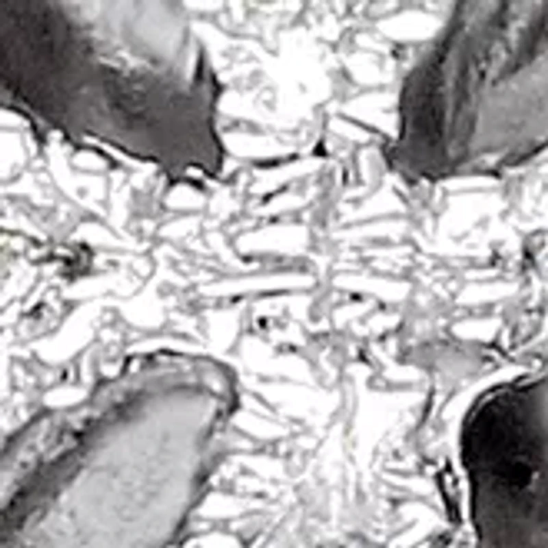 1/7 ct. t.w. Diamond Heart Locket Necklace