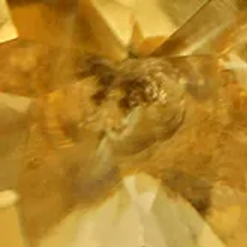 3.75 ct. t.w. Citrine and 1/10 ct. t.w. Diamond Accent Martini Stud Earrings in 10k Yellow Gold