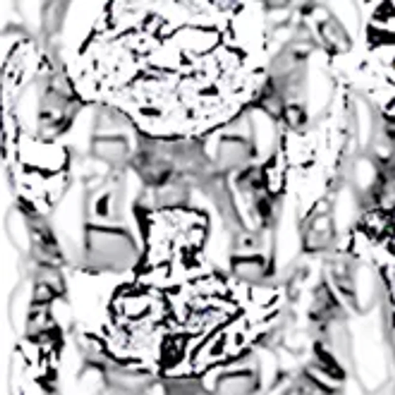 1/2 ct. t.w. Diamond Hoop Earrings in 10k White Gold