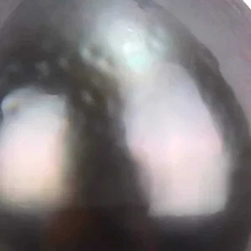 9 to 9.5 Millimeter Cultured Tahitian Pearl and 1/6 ct. t.w. Diamond Flower Bow Earrings in 10k White Gold