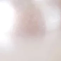 8.5-9 MM Cultured Freshwater Pearl and Cubic Zirconia Floral Halo Stud Earrings in Sterling Silver