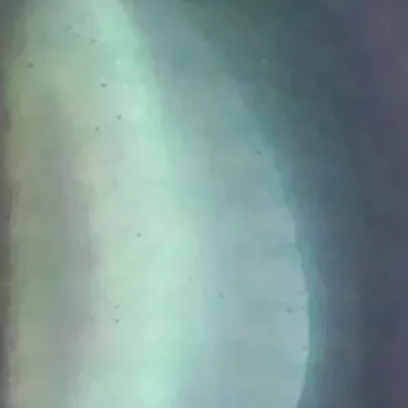 8-9 Millimeter Tahitian Cultured Pearl and Diamond Pendant with Chain in 14k White Gold