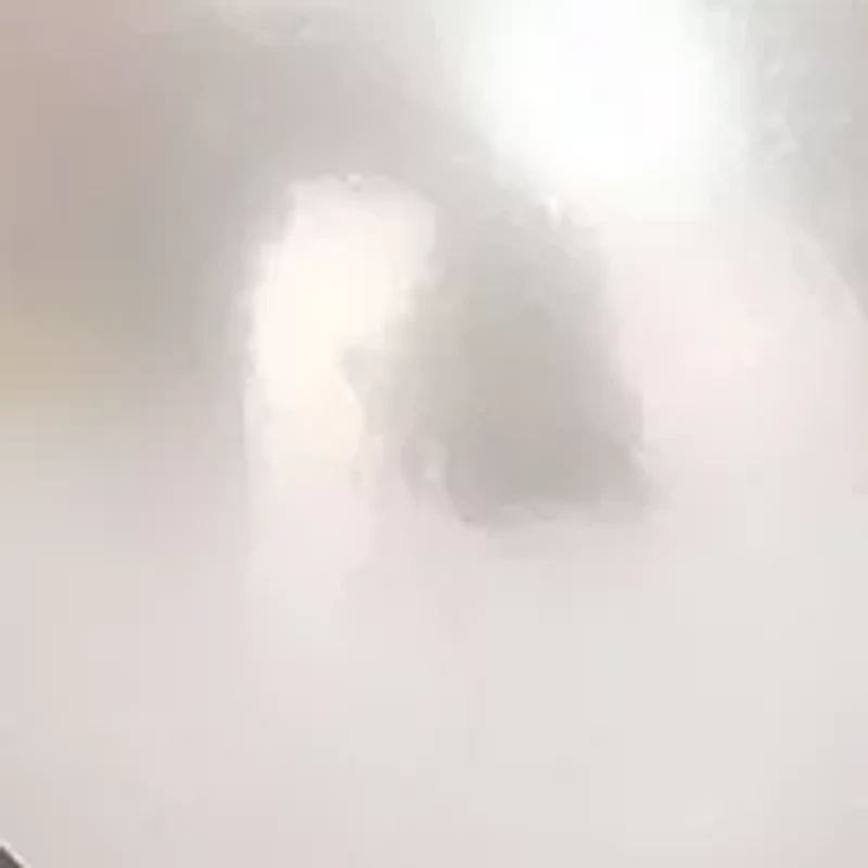 3-4MM Cultured Freshwater Pearl and 1/10 CT TW Diamond Swirl Ring 14k White Gold