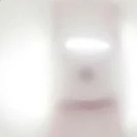 Round Cultured Freshwater White Pearl Stud Earrings in 14k Yellow Gold