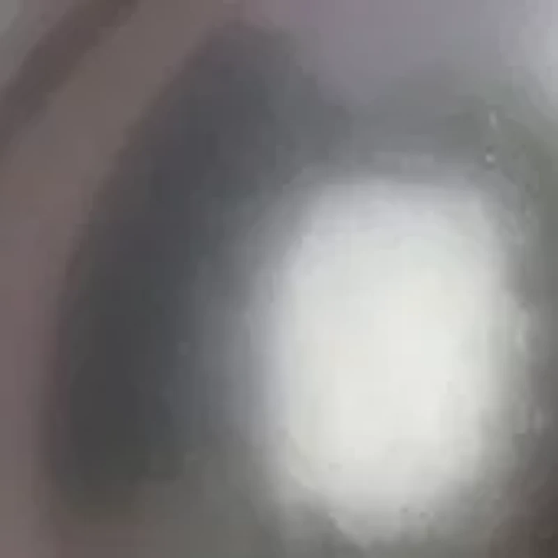 9.5-10mm Black Tahitian Cultured Pearl and 1/2 CT TGW White Sapphire Circular Pendant with Chain in 10k White Gold