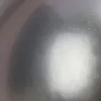 9.5-10mm Black Tahitian Cultured Pearl and 1/2 CT TGW White Sapphire Circular Pendant with Chain in 10k White Gold