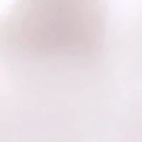 7.5-8mm Freshwater Cultured Pearl and Diamond Accent Leverback Earrings in Sterling Silver