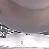 7.5-8mm Black Freshwater Cultured Pearl and White Topaz Open Wave Earrings in Sterling Silver