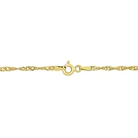 Singapore Necklace in 14k Yellow GOLD