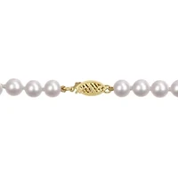 6-6.5mm Chinese Akoya Cultured Pearl Necklace in 14k Yellow Gold