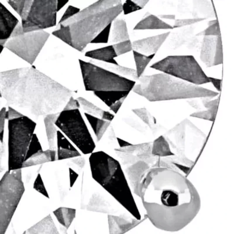 Lab Grown Diamond Earrings in 14k White Gold