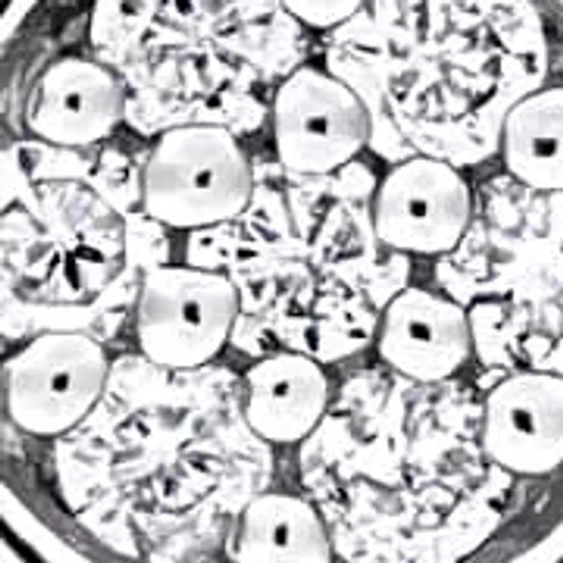 2-Piece Set of Diamond Flower Earrings & Pendant with Chain in Sterling Silver - 18 in