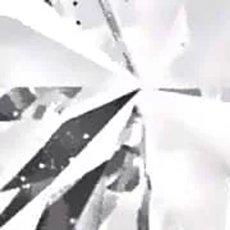 Lab Created Lab Grown Diamond LeverBack Earrings in 14k White Gold