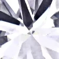 Lab-Grown Diamond Martini-Style Earrings in 14k White Gold