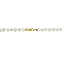 3-4mm Freshwater Cultured Pearl Necklace in 14k Yellow Gold- 16 in