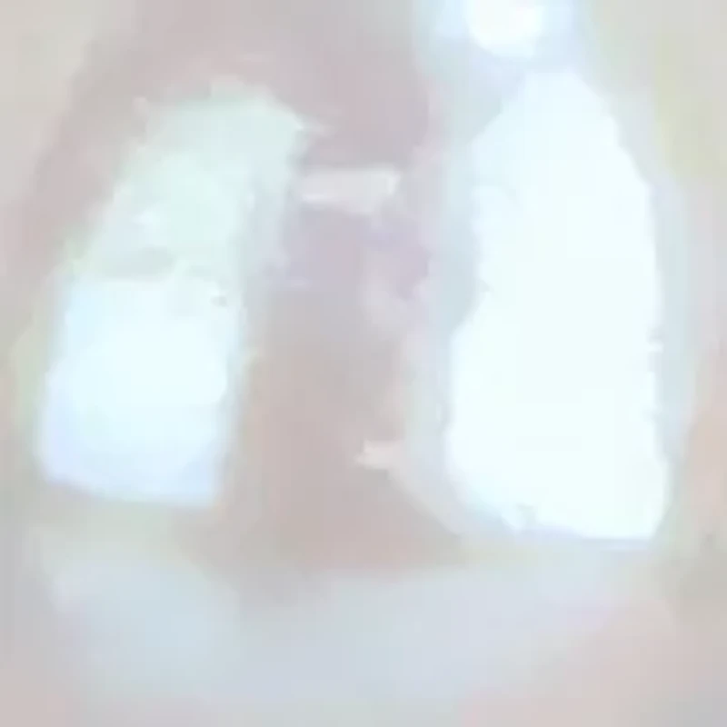 8-9mm Freshwater Cultured Pearl Necklace in Sterling Silver- 18 in