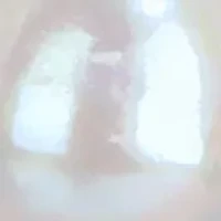 8-9mm Freshwater Cultured Pearl Necklace in Sterling Silver- 18 in