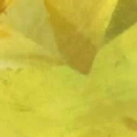 Dark Ruby, Orange & Yellow Sapphire Ring Plated Sterling Silver