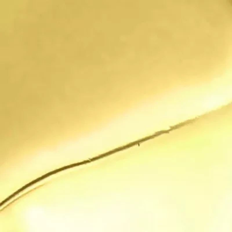 23mm Fancy Round Earrings in 14K Yellow Gold