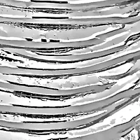 27mm Tear Drop Design Earrings in 14K White Gold