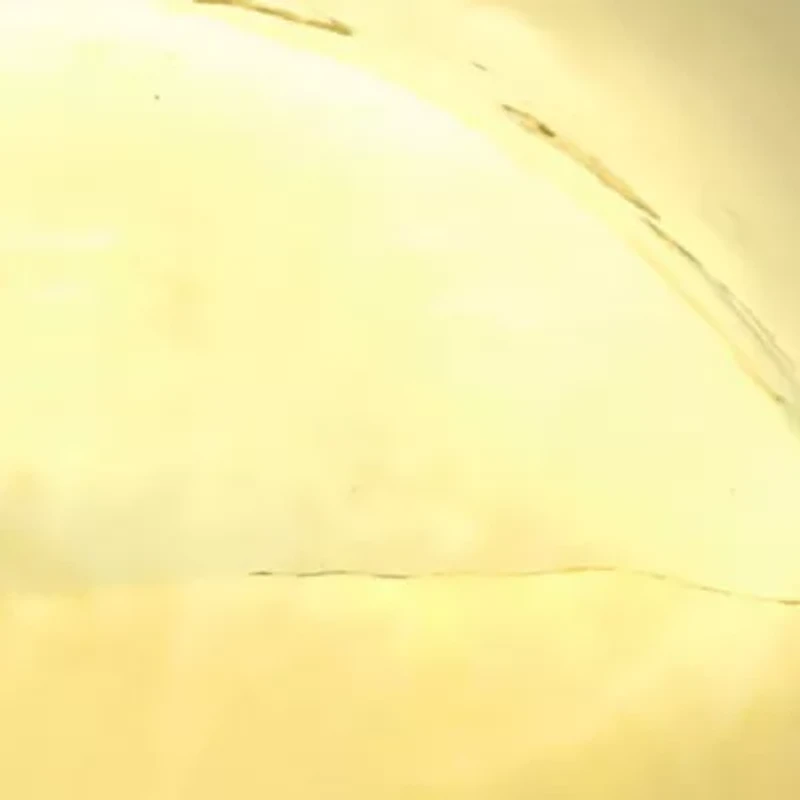 17.4mm Puffed Round Button Earrings in 14K yellow Gold