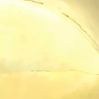 17.4mm Puffed Round Button Earrings in 14K yellow Gold