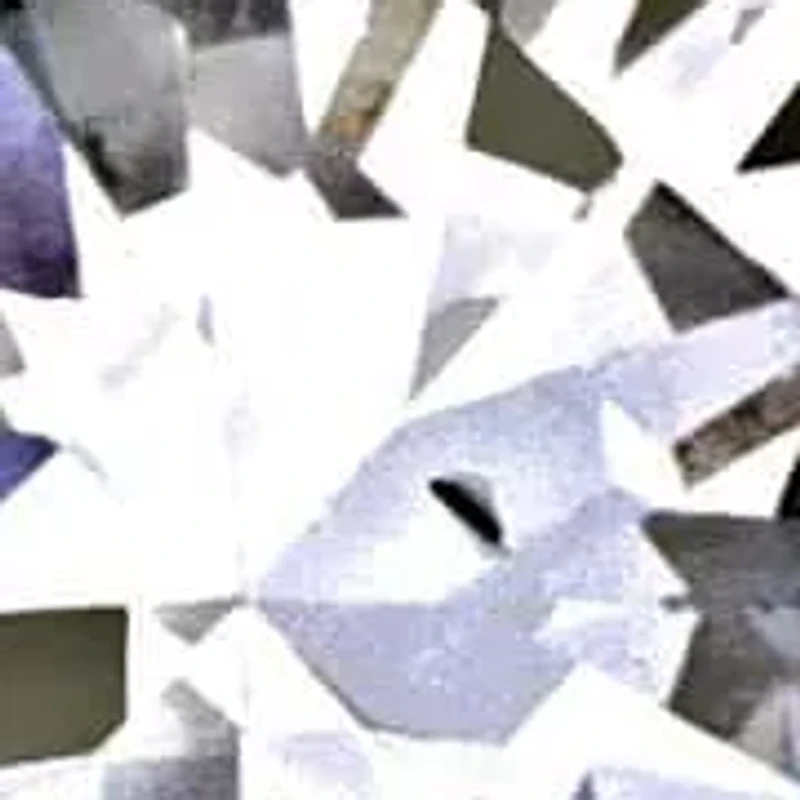 Lab Grown Diamond Earrings in 14k White Gold