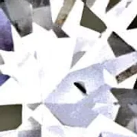 Lab Grown Diamond Earrings in 14k White Gold