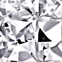 Lab Grown Diamonds Earrings in 14k White Gold