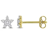 Lab Grown Diamond Earrings in 14k Yellow Gold