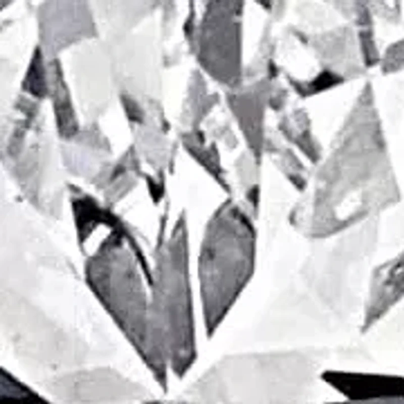 Lab Grown Diamonds Earrings in 14k White Gold