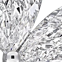 Lab Grown Diamond Earrings in 14k White Gold